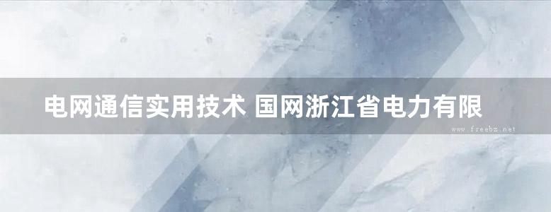 电网通信实用技术 国网浙江省电力有限公司组编 (2018版)